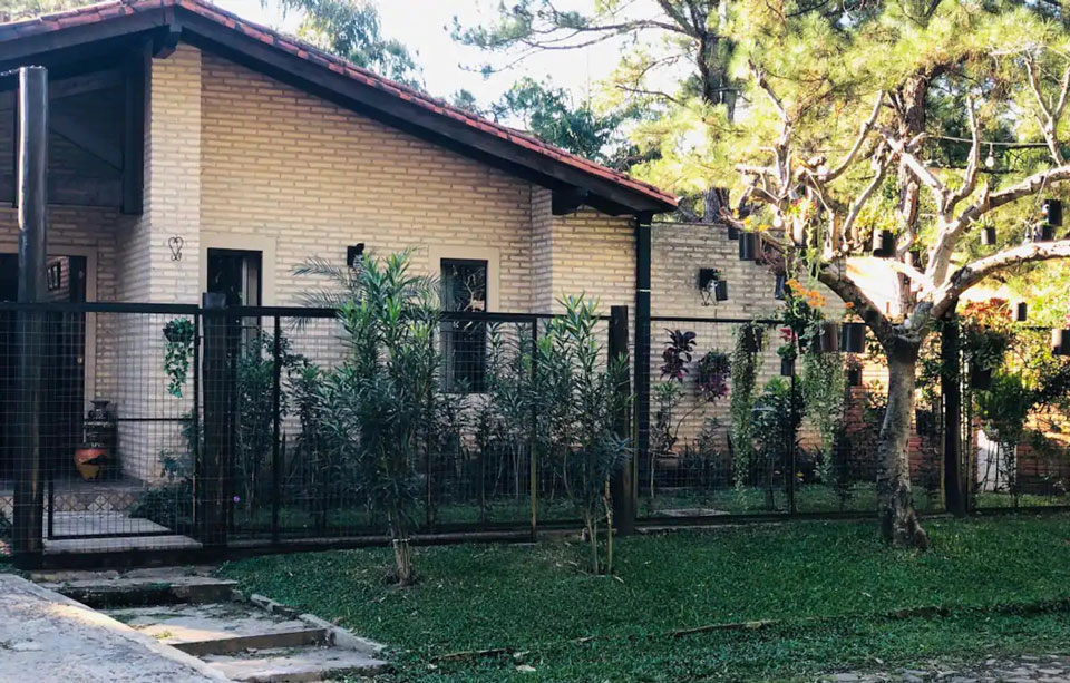 Vereda con plantas y un arbol decorado con planteras