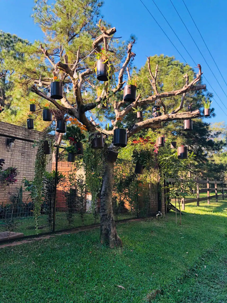 Arbol decorado con planteras